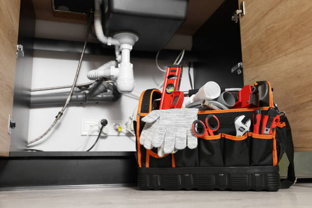 Best Commercial Plumbing Services  in Flowery Branch, GA